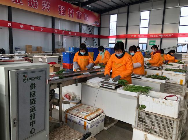 從地頭到餐桌，農產品直采直銷網(wǎng)絡助力現(xiàn)代農業(yè)